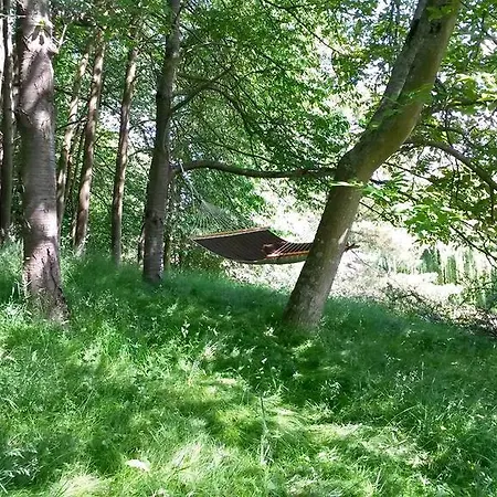 Les Coteaux De St-philbert